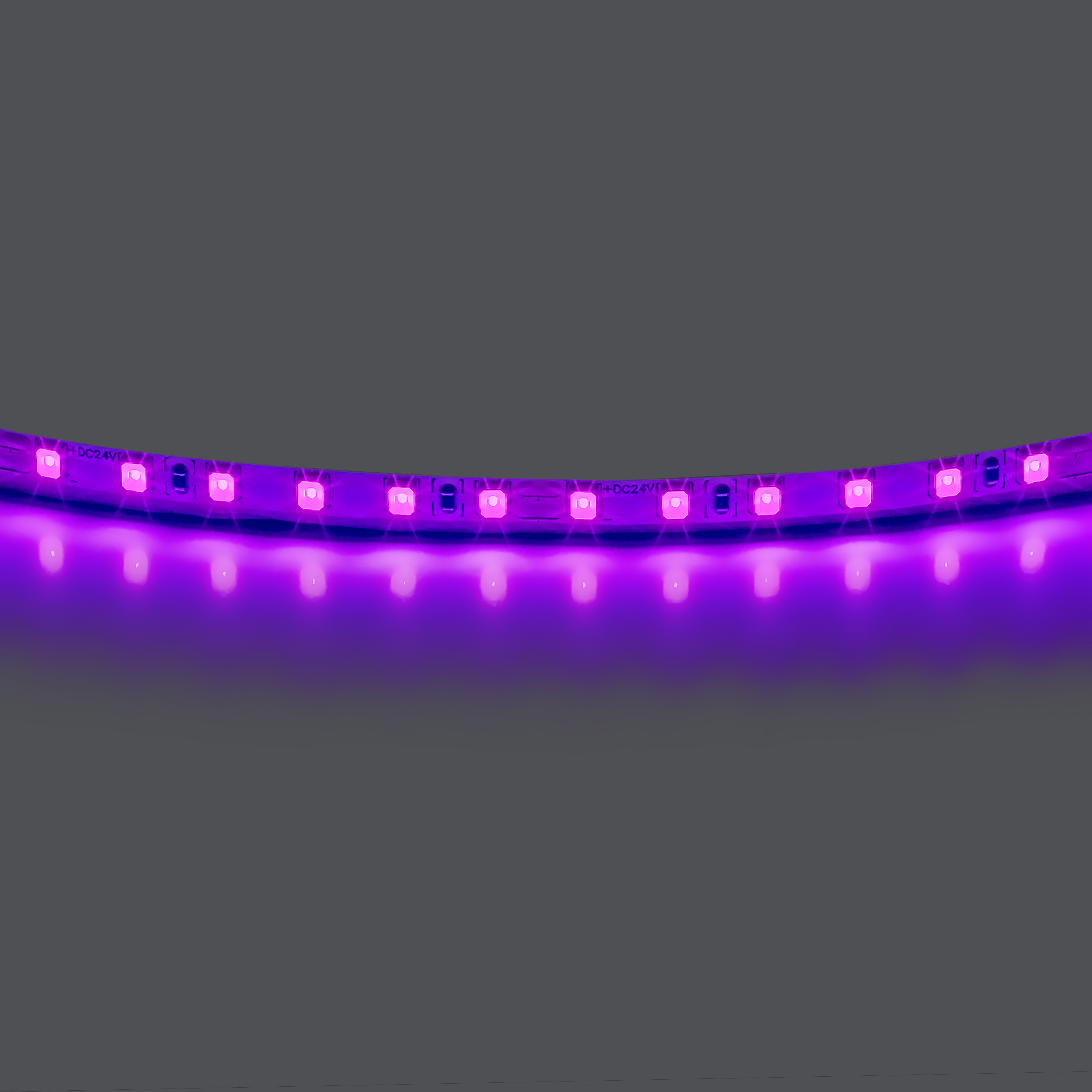 Лента LIGHTSTAR LED 24V 12W 120leds/M 1600 LM/M фиолетовый IP20 1шт = 5м