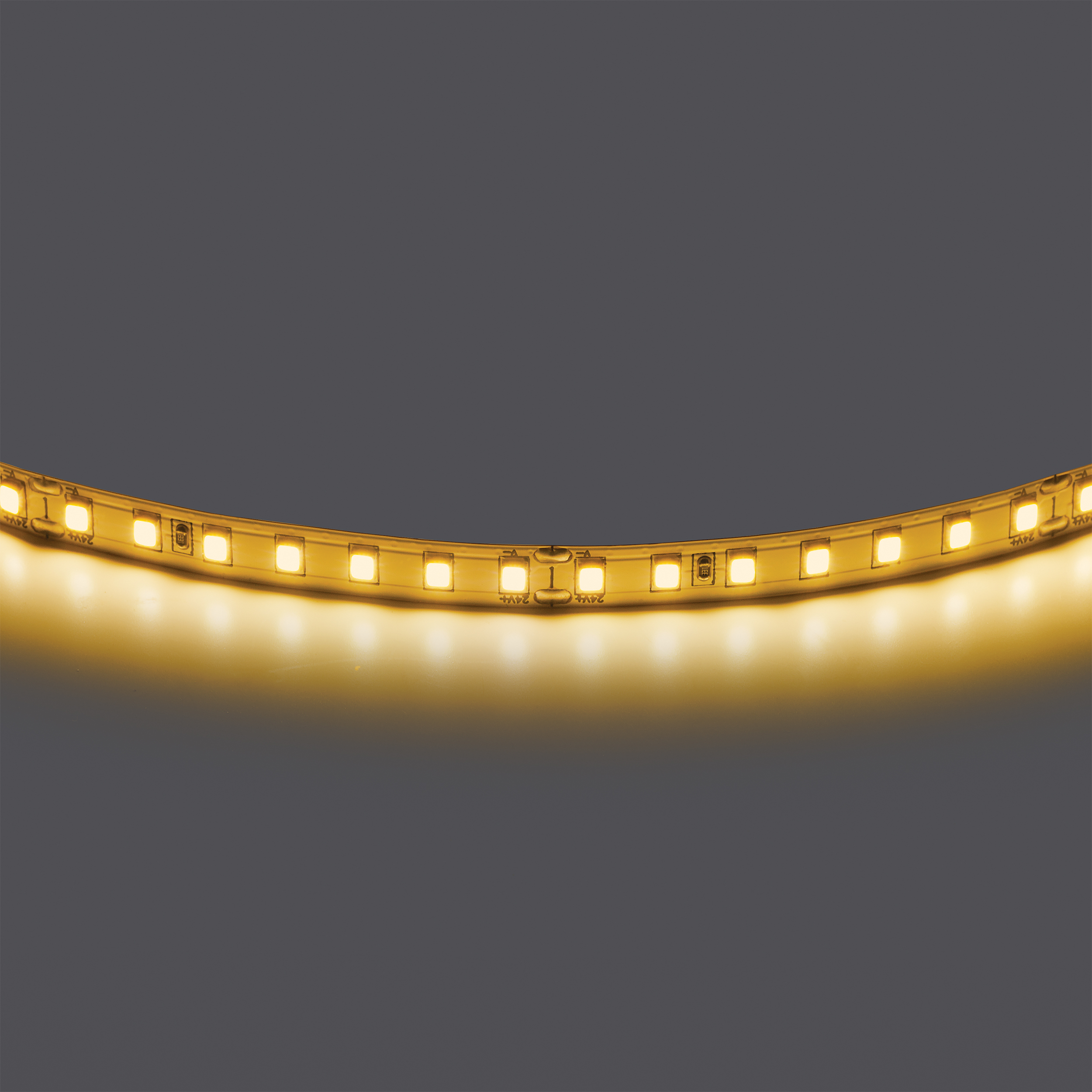 Лента двухсторонняя LIGHTSTAR LED 24V 12W 360G 5m/roll 3000K