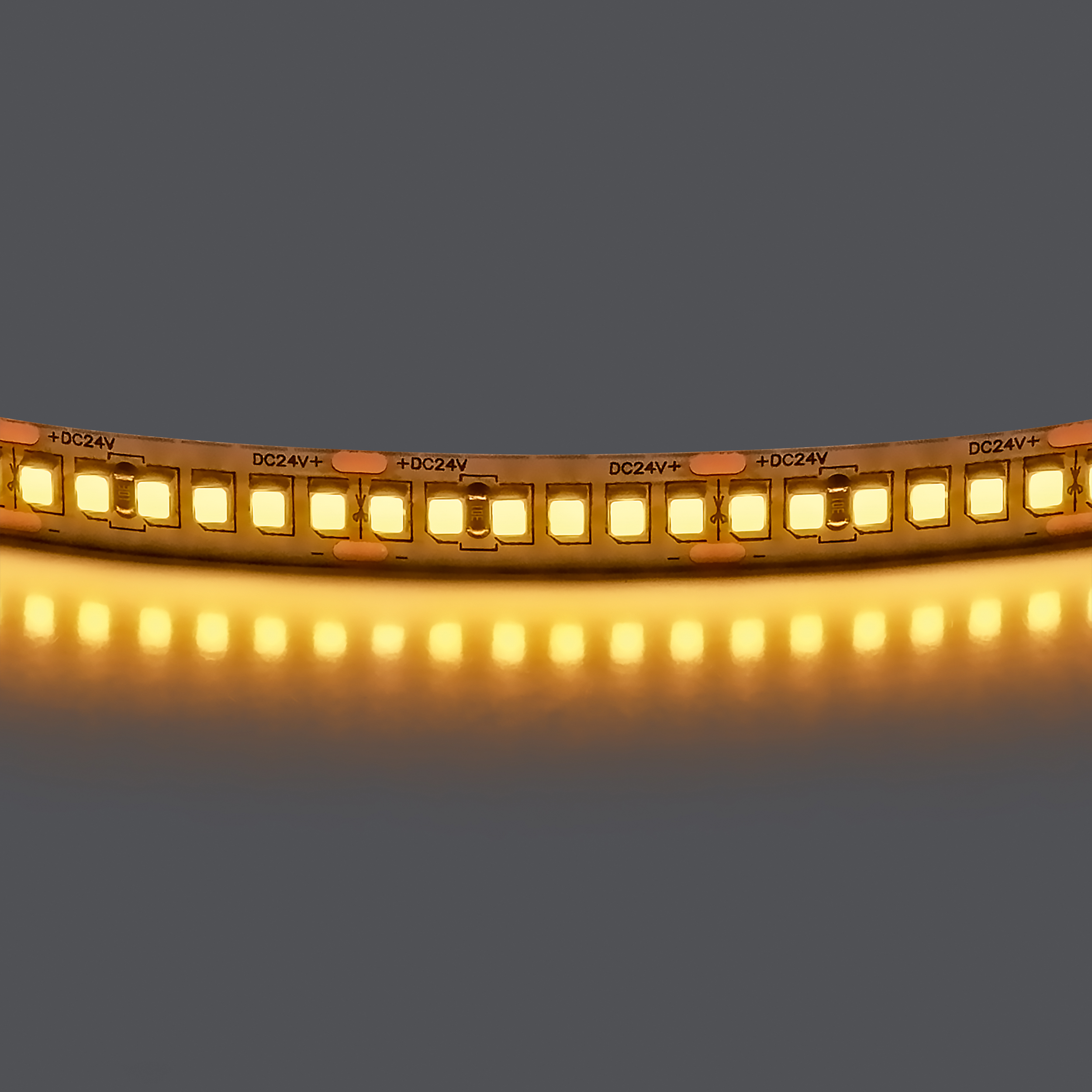 Лента LIGHTSTAR LED 24V 24W 240leds/M 2400LM/M 3000K IP20 1шт = 5м