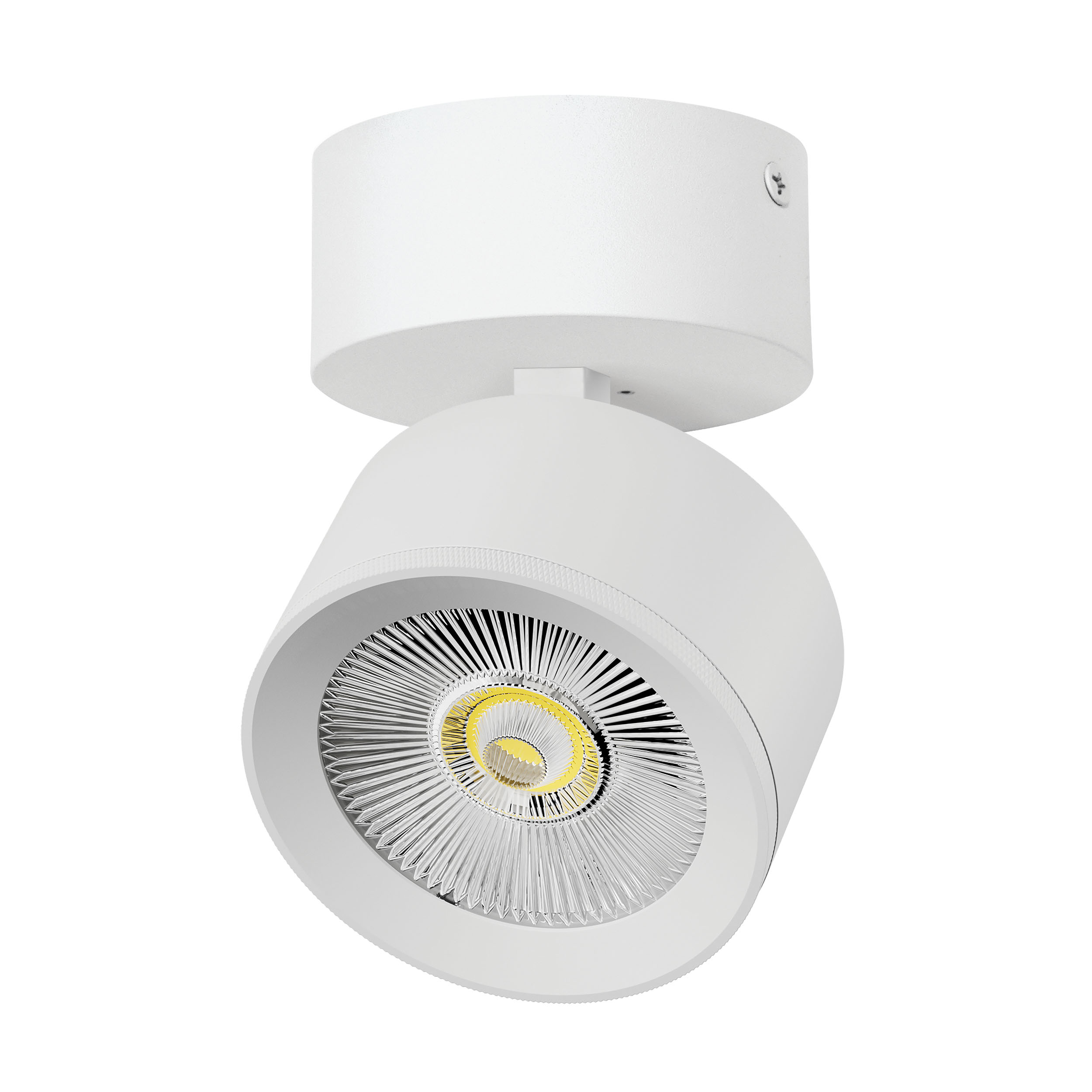 Светильник ALTA PRO накладной LED 15W 1700LM 36G БЕЛЫЙ 3000K с накл. чашей (215536 + 215016 + 215010-15)