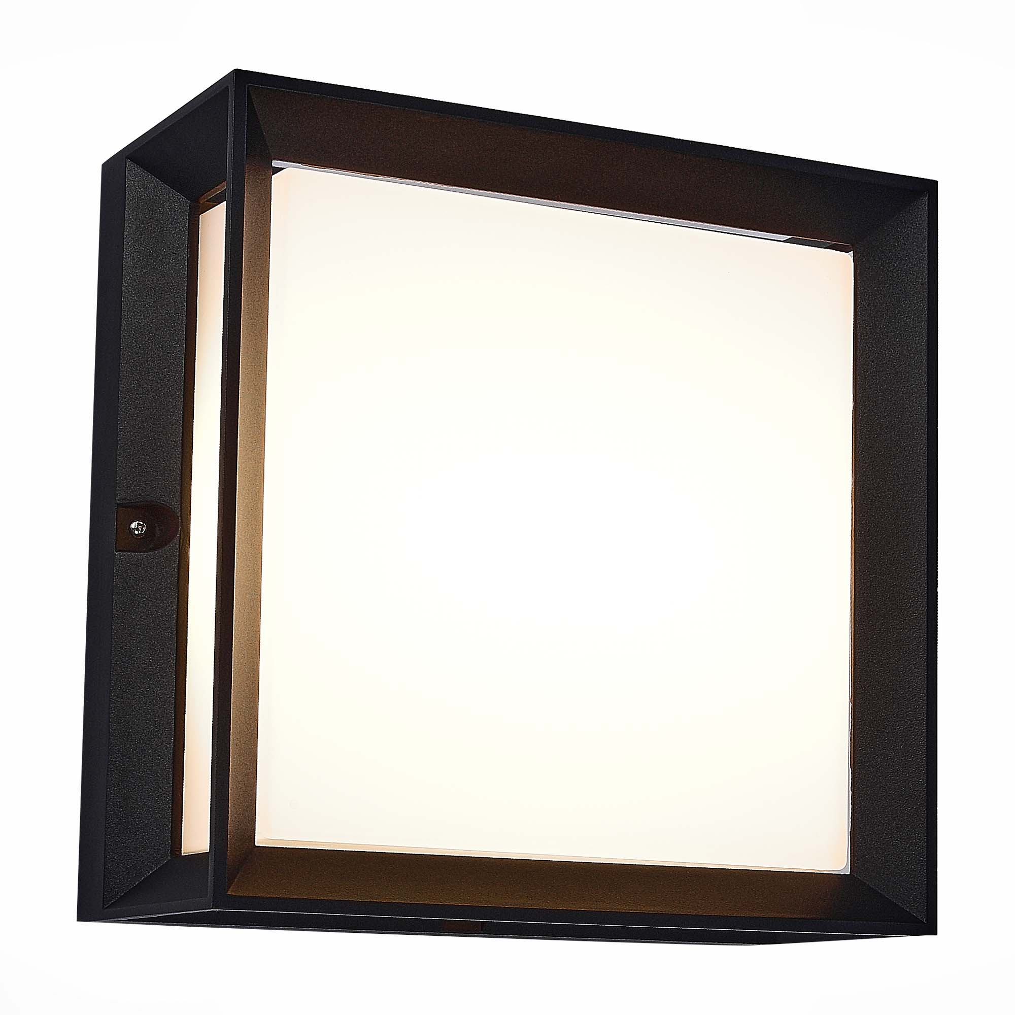 Светильник уличный потолочный ST-Luce Черный/Белый LED 1*12W 3000K