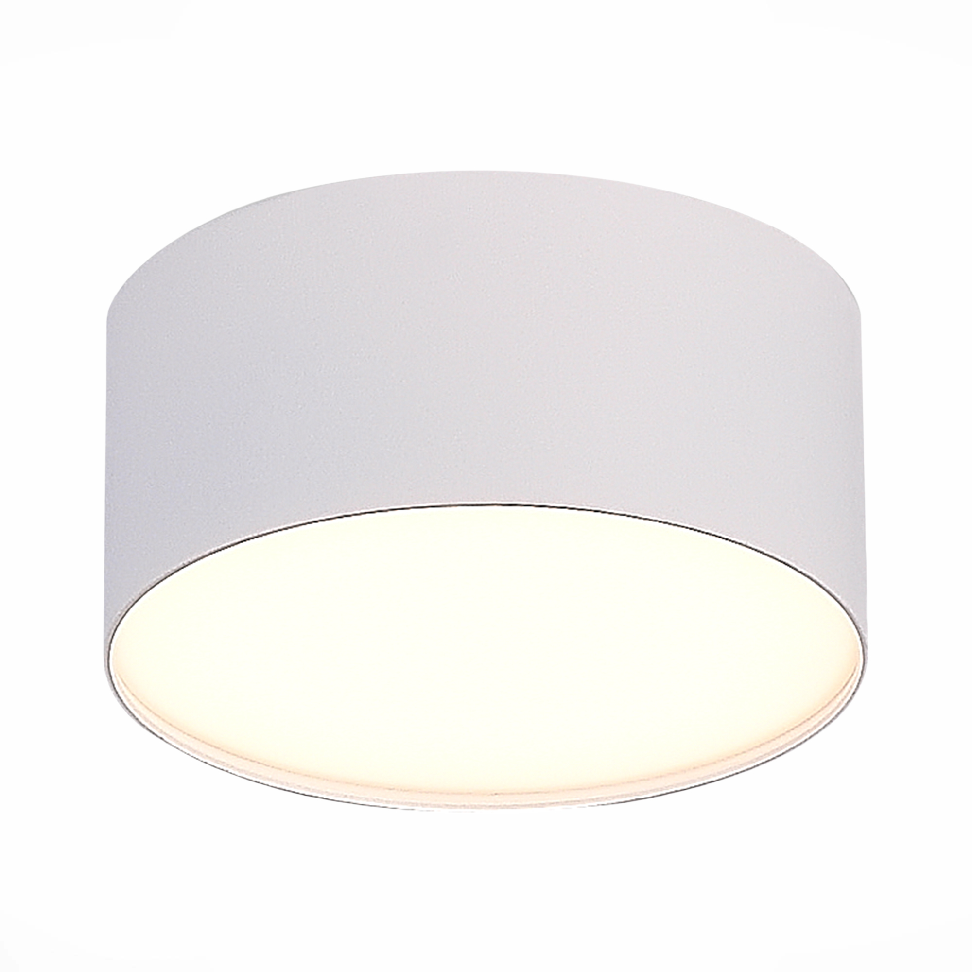Светильник потолочный Белый LED 1*12W 3000K 1 080Lm Ra>85 120° IP20 D120xH55 185-265V