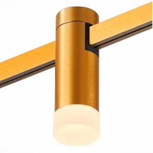 Магнитный трековый светильник FARM Золотистый LED 1*3W 4000K 93Lm Ra90 120 IP20 D29xH9
