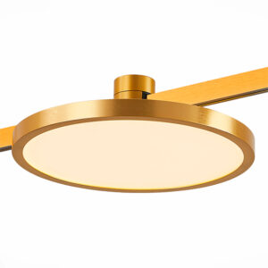 Магнитный трековый светильник FARM Золотистый LED 1*10W 3000K 520Lm Ra80 120 IP20 D168x